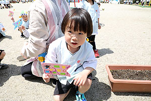 こいのぼりとハイポーズ！！　ことり