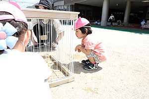 園庭で思いっきり遊びました！　ひよこ