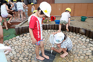 どろんこ遊び　たんぽぽ・ひまわり