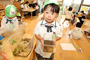 おたまじゃくしとザリガニの観察　ことり