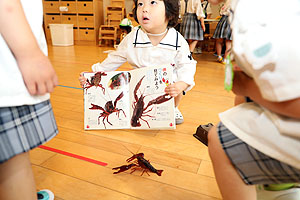 おたまじゃくしとザリガニの観察　ことり