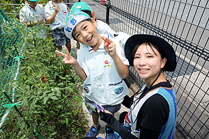 みんなで育てたトマト🍅　最高に美味しかったね　A