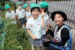 みんなで育てたトマト🍅　最高に美味しかったね　A