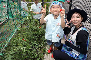 みんなで育てたトマト🍅　最高に美味しかったね　A