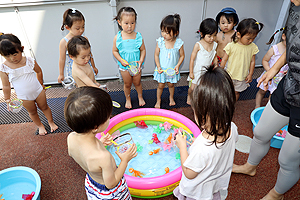 7月生まれの誕生会　金魚すくい　ひよこ