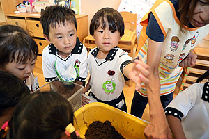 カブトムシの幼虫の観察　ことり