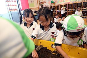 カブトムシの幼虫の観察　ことり