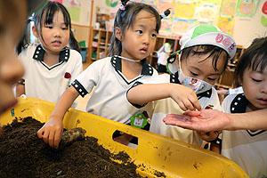 カブトムシの幼虫の観察　ことり