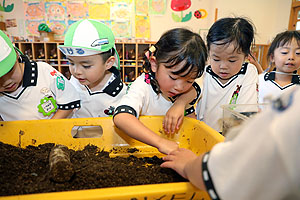 カブトムシの幼虫の観察　ことり