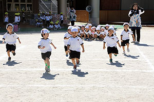 運動会のかけっこ活動　年中組