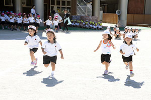 運動会のかけっこ活動　年中組