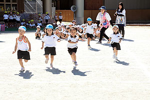 運動会のかけっこ活動　年中組