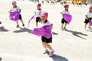 運動会のリズム活動　年中組