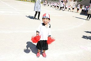 運動会のリズム活動　うさぎ・りす・ことり