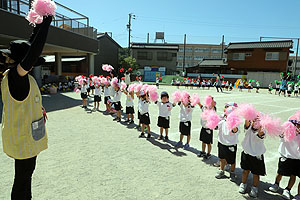 運動会のリズム活動　うさぎ・りす・ことり