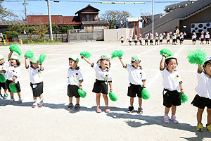 運動会のリズム活動　うさぎ・りす・ことり