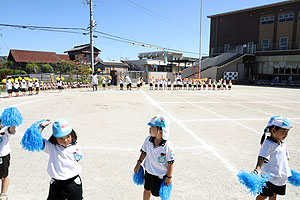 運動会のリズム活動　こあら・ぱんだ・きりん