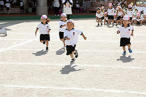 運動会予行が行われました　かけっこ　年少組