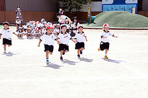 運動会予行が行われました　かけっこ　年少組