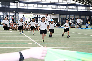 エンゼル運動会３　　　　年少かけっこ