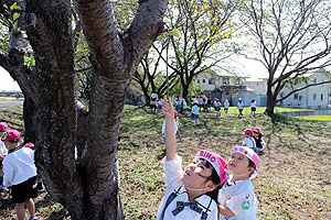 お散歩楽しかったね！　うさぎ・ばら