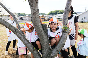 お散歩楽しかったね　きりん・ことり