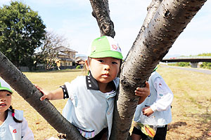 お散歩楽しかったね　きりん・ことり