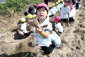 エンゼル自然体験農園でおいもほり　　年中