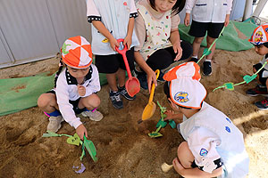 園庭の砂場でおいもほりごっこ　きりん