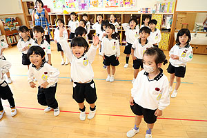 イングリッシュ　たんぽぽ・ひまわり
