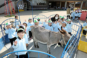 ふれあい動物園　たのしかったね　年少組