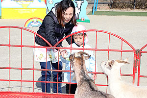 ふれあい動物園　たのしかったね　年少組