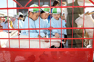ふれあい動物園　たのしかったね　年少組