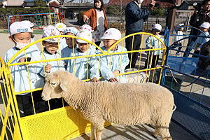 ふれあい動物園　たのしかったね　年中・ひよこ組