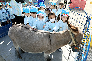 ふれあい動物園　たのしかったね　年中・ひよこ組