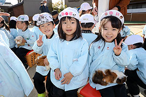 ふれあい動物園　たのしかったね　年中・ひよこ組