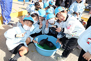 ふれあい動物園　たのしかったね　年中・ひよこ組