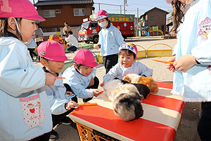 ふれあい動物園　たのしかったね　年中・ひよこ組