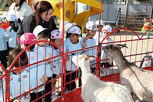 ふれあい動物園　たのしかったね　年中・ひよこ組