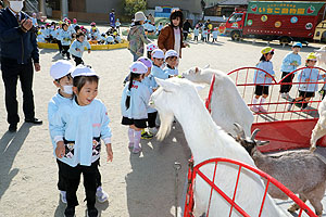 ふれあい動物園　たのしかったね　年中・ひよこ組