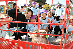ふれあい動物園　たのしかったね　年長組