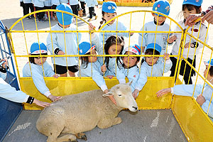 ふれあい動物園　たのしかったね　年長組