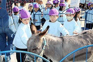 ふれあい動物園　たのしかったね　年長組