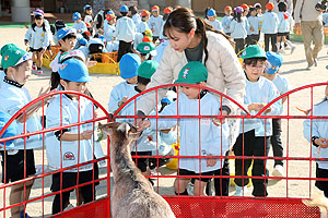 ふれあい動物園　たのしかったね　年長組