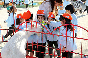ふれあい動物園　たのしかったね　年長組