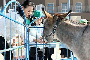 ふれあい動物園　たのしかったね　年長組