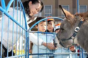 ふれあい動物園　たのしかったね　年長組