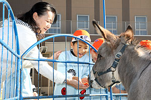 ふれあい動物園　たのしかったね　年長組