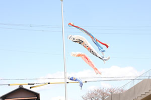 園庭遊び　C・さくら・たんぽぽ
