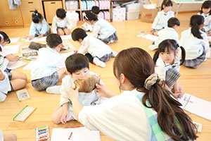 たけのこの観察　E
